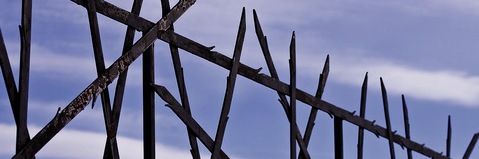Lowe Family Holocaust and Genocide Education